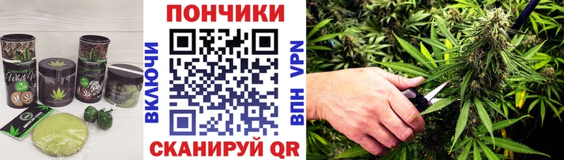 KRAKEN как войти  Усть-Кут  Cannafood марихуана 