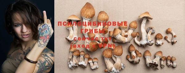 2c-b Абинск